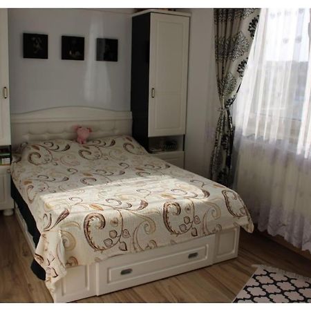 Xvisoianu Luxury 2 Rooms Ab House Lunca Cetatuii Exterior photo