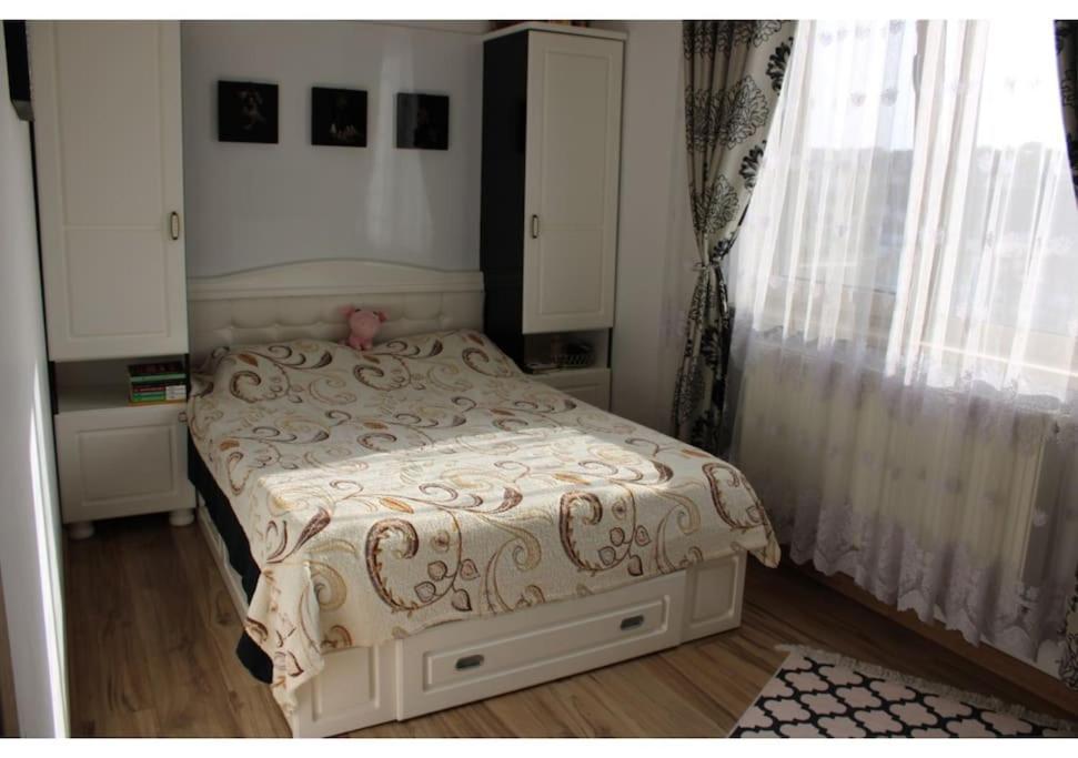 Xvisoianu Luxury 2 Rooms Ab House Lunca Cetatuii Exterior photo